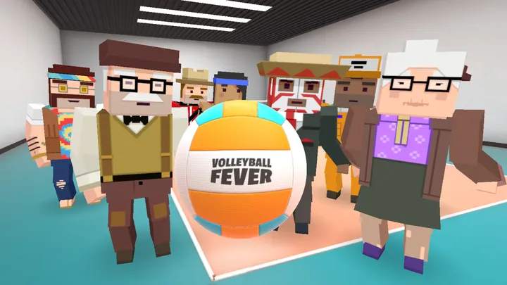 Volleyball Fever cover artwork from the official Meta shop page